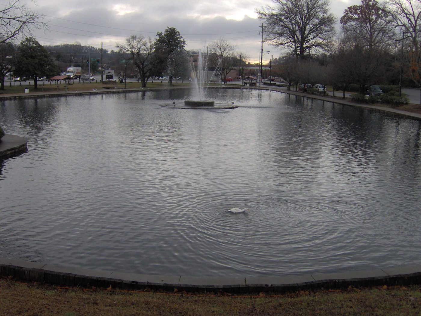 Fountain City Lake in North Knoxville, near the Washington Pike office